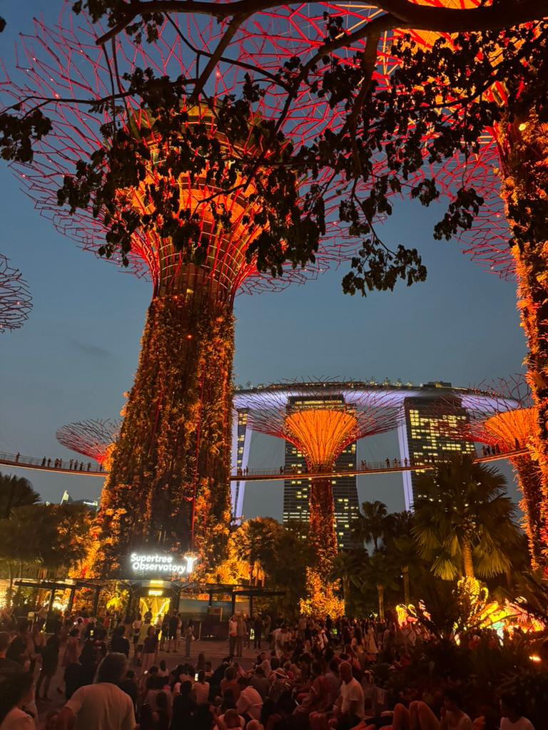 Gardens by the Bay autumn festival, Supertrees lit with Marina Bay Sands behind.